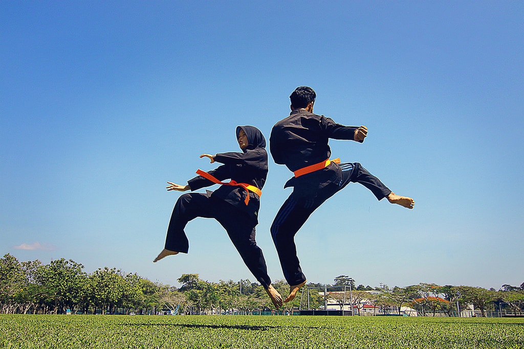 Pencak Silat